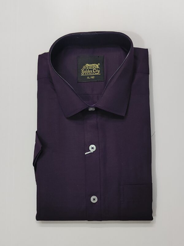 Formal Plain Shirt For Men-Violet Full Sleeve - Image 2